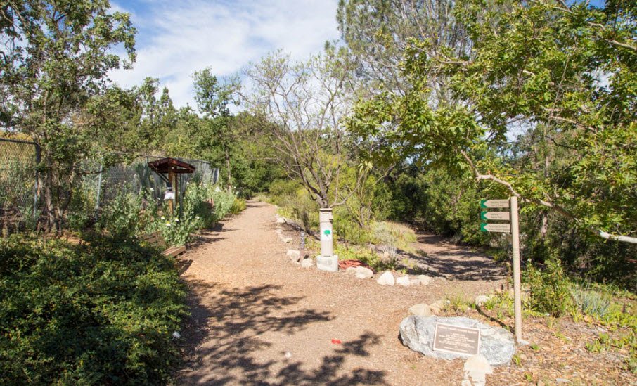 Conejo Valley Botanic Garden, United States